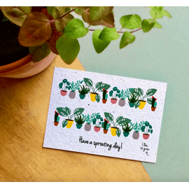 Plantbare postkaart Sprouting day / Bloom your message